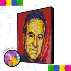 Robin William 52 x 52cm